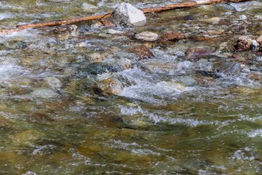 Roadisde 'den Waterton manzarası. Waterton Lakes Ulusal Parkı, Alberta, Kanada