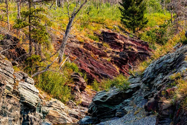 トレイルでレッドロックキャニオンウォータートンレイク国立公園アルバータ州カナダ — ストック写真