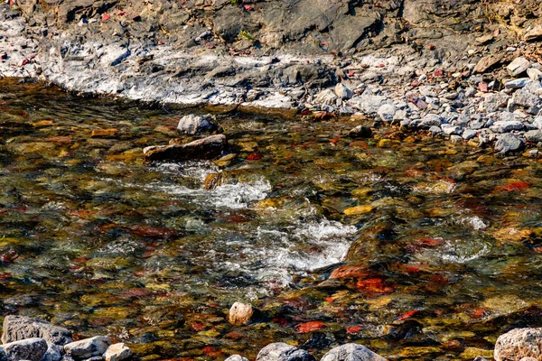 Trilha Red Rock Canyon Waterton Lakes National Park Alberta Canada — Fotografia de Stock