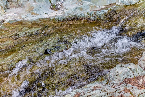 Roadisde Den Waterton Manzarası Waterton Lakes Ulusal Parkı Alberta Kanada — Stok fotoğraf