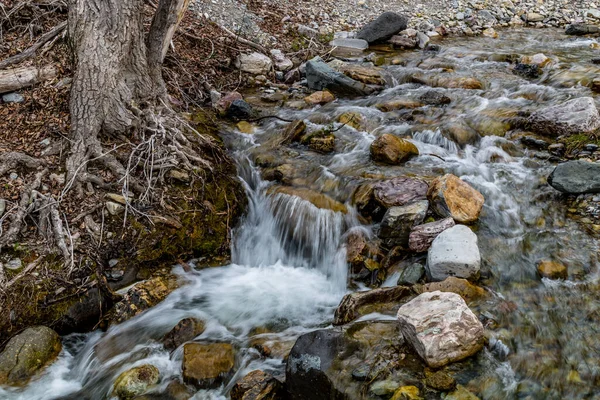 Pandangan Waterton Dari Roadisde Tersebut Taman Nasional Waterton Lakes Alberta — Stok Foto