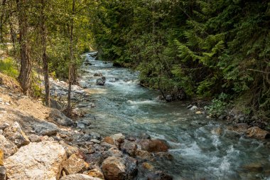 Yol kenarındaki derede Banff Windermer HWY Kootenay Ulusal Parkı İngiliz Kolombiyası Kanada