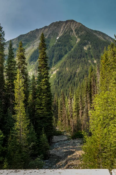 Rockies Hutan Sungai Kootney Bawah Badai Layang Layang Banff Windermer — Stok Foto