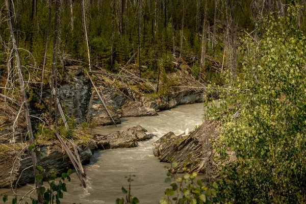 Řeka Kootney Protéká Skalnatým Kaňonem Banff Windermer Hwy Kootenay National — Stock fotografie