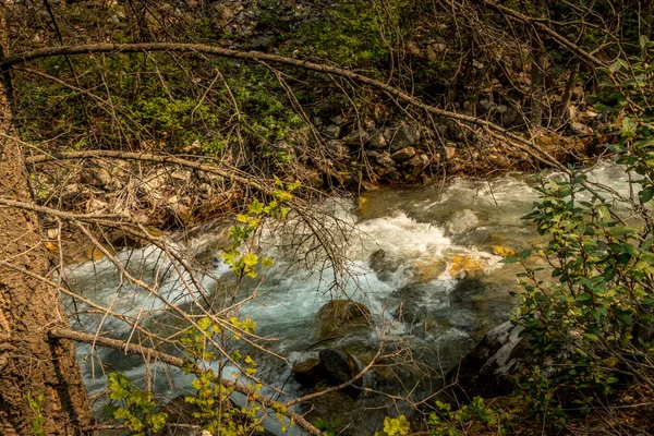 Roadside Creek Huczy Przy Drodze Banff Windermer Hwy Park Narodowy — Zdjęcie stockowe