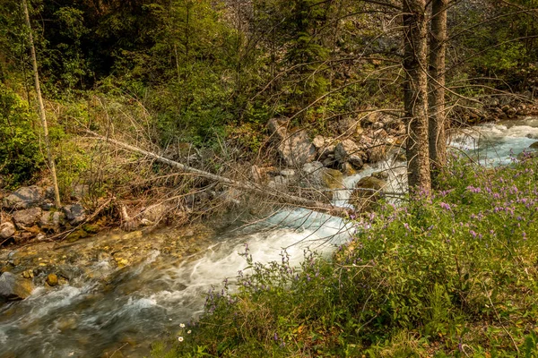 Roadside Creek Dübörög Mellett Banff Hwy Kootenay National Park Brit — Stock Fotó