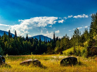 Kunduz Vadisi Grizzly Creek Buzul Parkı İngiliz Kolombiyası Kanada