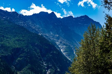Yol kenarındaki HWY 1 Buzul Ulusal Parkı İngiliz Kolombiyası Kanada