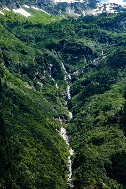 Yol kenarındaki HWY 1 Buzul Ulusal Parkı İngiliz Kolombiyası Kanada