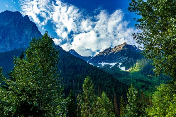 Pemandangan Sepanjang Pinggir Jalan Taman Nasional Gletser Hwy British Columbia — Stok Foto