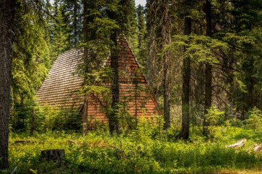 McLeod Meadows Kootenay Ulusal Parkı İngiliz Kolombiyası Kanada