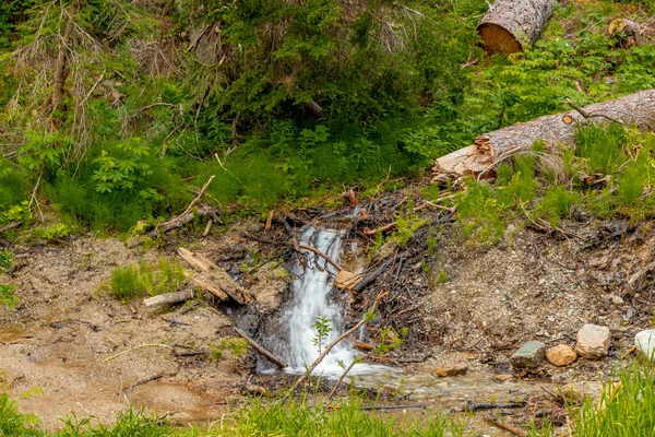 Szlaku Illecillewaet Valley Trail Lodowiec Park Narodowy Kolumbia Brytyjska Kanada — Zdjęcie stockowe