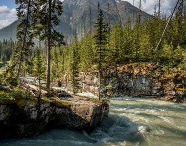 Tokkum Deresi Kanyon Kootenay Ulusal Parkı İngiliz Kolombiyası Kanada 'dan geçiyor.