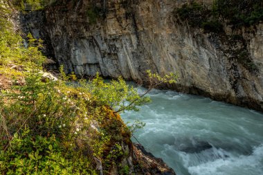 Tokkum Deresi Kanyon Kootenay Ulusal Parkı İngiliz Kolombiyası Kanada 'dan geçiyor.
