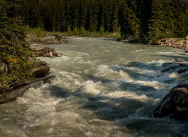 Kootney Nehri, Numa Falls Kootenay Ulusal Parkı İngiliz Kolombiyası Kanada yolunda.