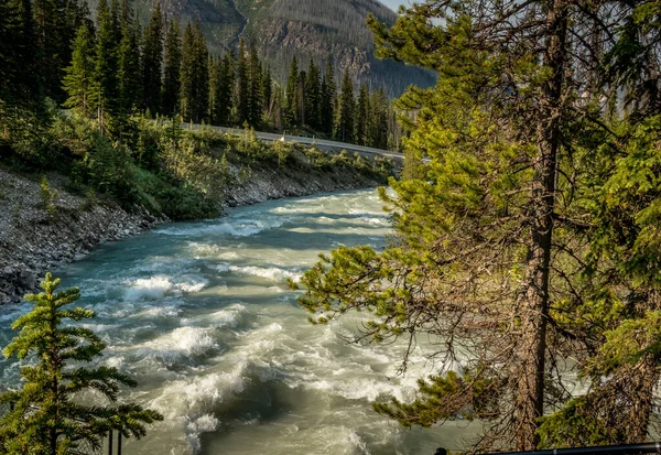 Tokkum Creek Pases Though Canyon Kootenay National Park British Columbia — 图库照片