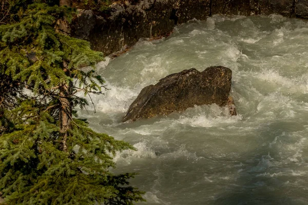 Tokkum Creek Pases Though Φαράγγι Kootenay Εθνικό Πάρκο British Columbia — Φωτογραφία Αρχείου