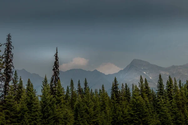 Gunung Harkin Dan Hutan Asap Asap Kabut Kootenay Taman Nasional — Stok Foto