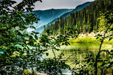 Olive Lake Kootenay Ulusal Parkı İngiliz Kolombiyası Kanada