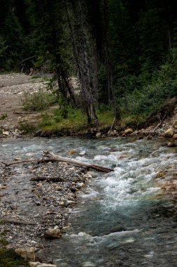 Tokyo Deresi Kootenay Ulusal Parkı 'nda İngiliz Kolombiyası Kanada' sında gürlüyor.