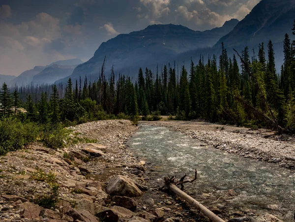 Tokkum Creek Rueda Retumba Parque Nacional Kootenay Columbia Británica Canadá —  Fotos de Stock
