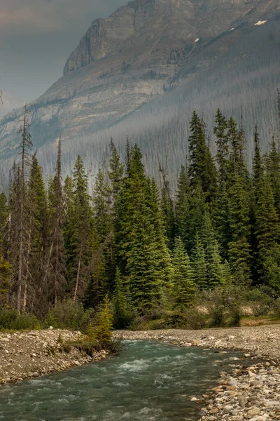 Tokkum Creek Kootenay National Park British Columbia Canada — Stock Photo, Image