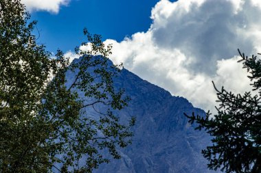 Şansölye Peak ağaçların arasından Yoho Ulusal Parkı İngiliz Kolombiyası Kanada