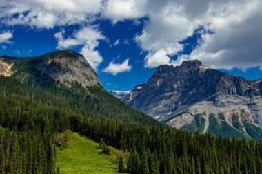 Emerald Gölü 'nün Emerlad suları Yoho Ulusal Parkı İngiliz Kolombiyası Kanada