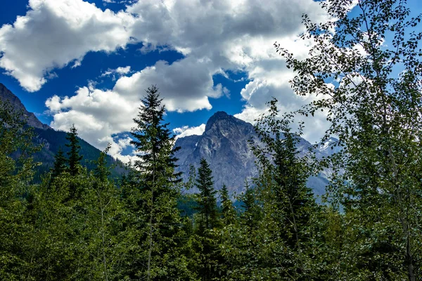 Chancellor Peak Trees Yoho National Park British Columbia Canada — Stok Foto
