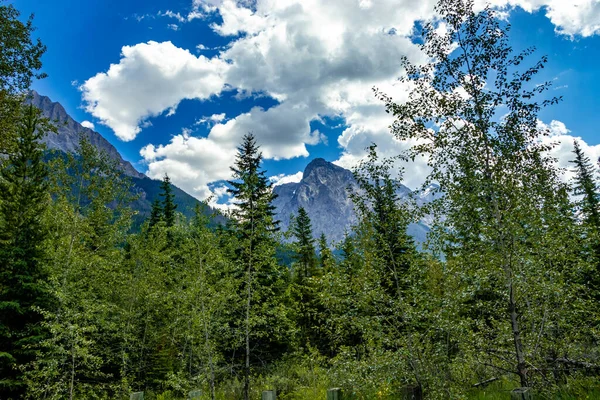 Chancellor Peak Trees Yoho National Park British Columbia Canada Stock Picture