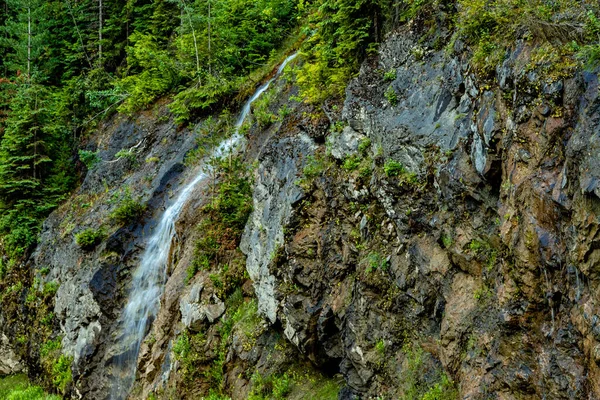 Výhled Projížďku Podél Hwy Mount Revelstoke National Park British Columbia — Stock fotografie
