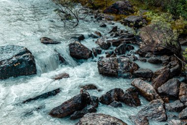 Turbulant At Nehri Tekmeliyor Yoho Ulusal Parkı İngiliz Kolombiyası Kanada