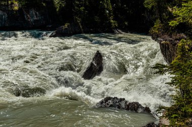 Turbulant At Nehri Tekmeliyor Yoho Ulusal Parkı İngiliz Kolombiyası Kanada