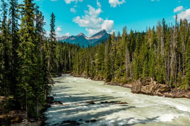Turbulant At Nehri Tekmeliyor Yoho Ulusal Parkı İngiliz Kolombiyası Kanada