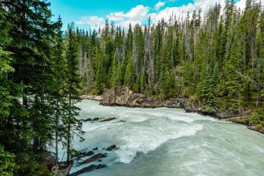 Turbulant At Nehri Tekmeliyor Yoho Ulusal Parkı İngiliz Kolombiyası Kanada