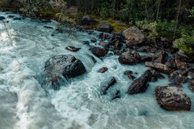 Turbulant At Nehri Tekmeliyor Yoho Ulusal Parkı İngiliz Kolombiyası Kanada