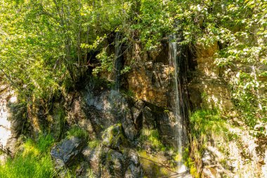Sky Pkwy Ulusal Parkı, British Columbia, Kanada 'da Meadows boyunca bir gezinti.,