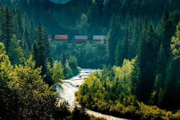 Views Drive Hwy Mount Revelstoke National Park British Columbia Canada — Fotografia de Stock