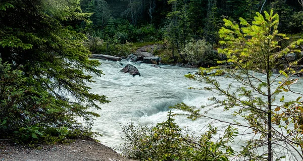 Turbolant Kicking Horse River Yoho National Park Columbia Britannica Canada — Foto Stock