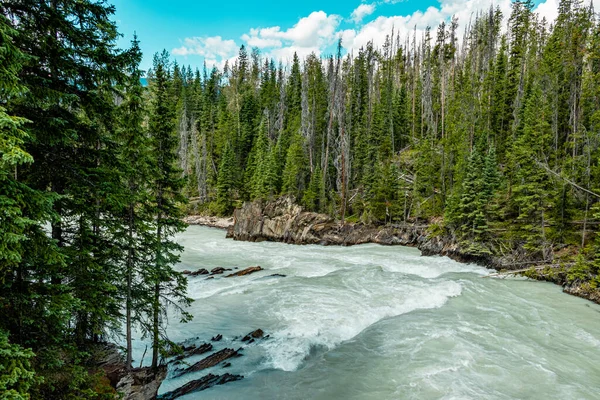 Turbuláns Ricking Horse River Yoho Nemzeti Park Brit Columbia Kanada — Stock Fotó