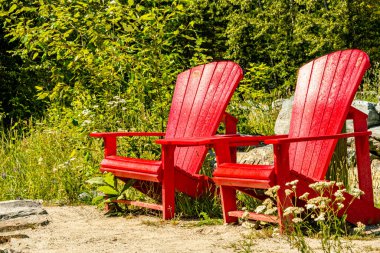 Kırmızı Sandalyeler Bisiklet Parkı Dağı Revelstoke Ulusal Parkı İngiliz Kolombiyası Kanada