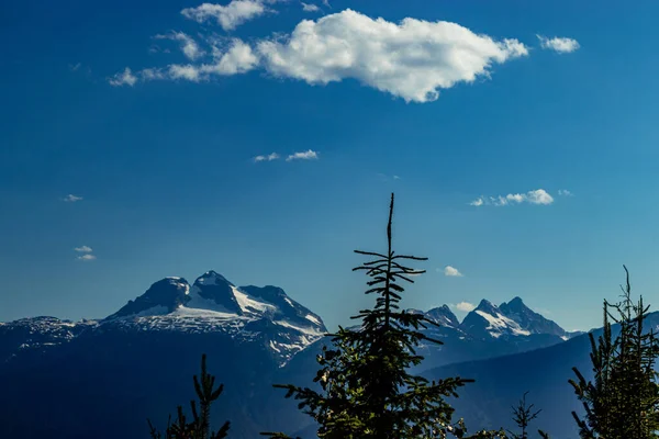Views Mount Revelstoke Mount Revelstoke National Park British Columbia Canada — Stok Foto