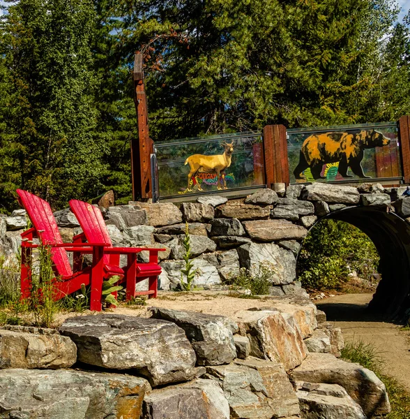 Red Chairs Bike Park Mount Revelstoke National Park British Columbia — Stockfoto