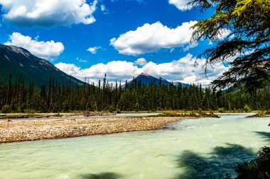 Mount Hunter Tekmeleyen At Altında RiverYoho Ulusal Parkı İngiliz Kolombiyası Kanada