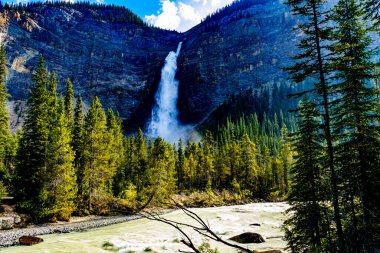 Takakkaw Falls Yoho Ulusal Parkı İngiliz Kolombiyası Kanada