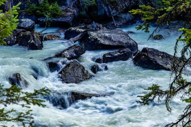 Gök Gürültülü Yoho Nehri Ulusal Parkı İngiliz Kolombiyası Kanada