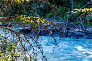 Gök Gürültülü Yoho Nehri Ulusal Parkı İngiliz Kolombiyası Kanada