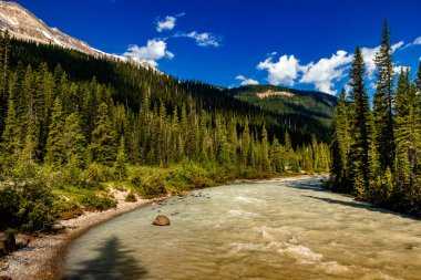 Gök Gürültülü Yoho Nehri Ulusal Parkı İngiliz Kolombiyası Kanada