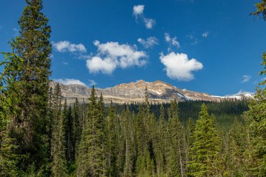 Yoho Vadisi Yolu, Yoho Ulusal Parkı İngiliz Kolombiyası Kanada