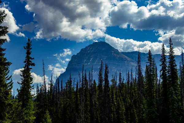 Mount Stephen Stands Guard Yoho National Park British Columbia Canada —  Fotos de Stock